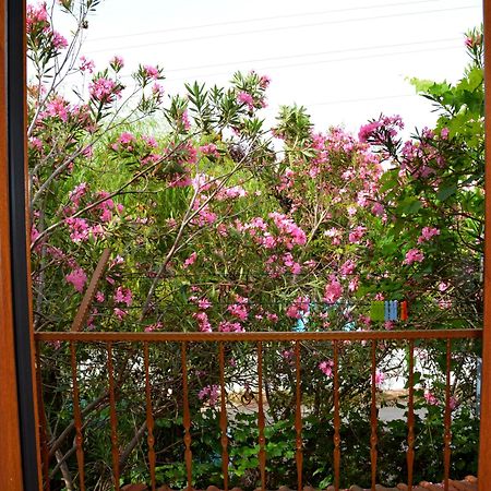 Villa Poseidon Dalyan Εξωτερικό φωτογραφία