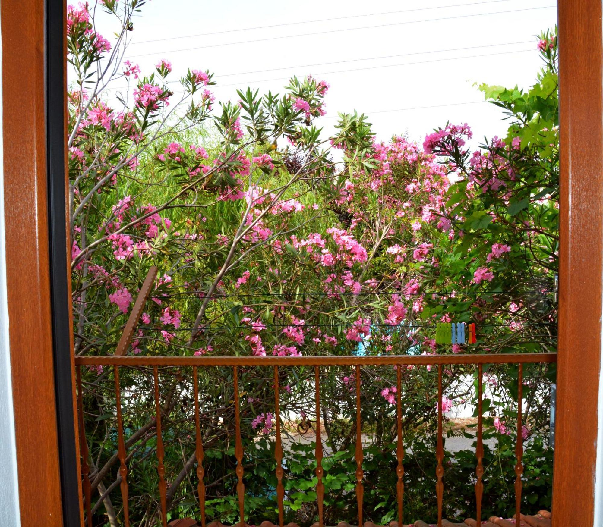 Villa Poseidon Dalyan Εξωτερικό φωτογραφία